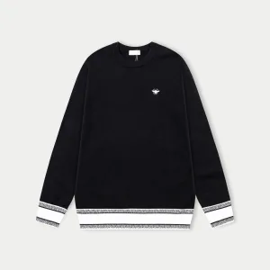 High Quality Designer Dior Wool Sweater For Autumn