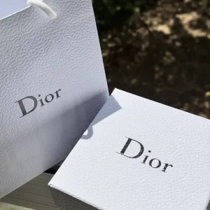 Luxury Dior Blackboard Lady Velvet