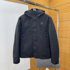 Reps Louis Vuitton Down Jacket Red Duck