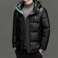 AAA Super Clone Fendi Jackets Ash Duck Down Spring Winter Early