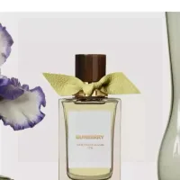 Designer Luxury Burberry Perfume Green Patch
