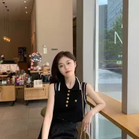 Aaa Celine Vest For Spring