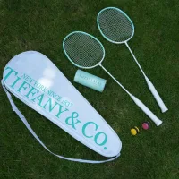 Designer Tiffany Abs Storage Bag