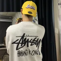 AAA High Quality Stussy Hoodies Ash Cotton Pure Soft