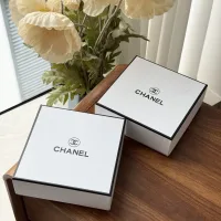 Designer 1:1 Chanel Hair Accessories