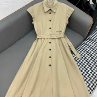 1:1 Luxury Dior Dress
