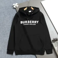 Luxury High Quality Burberry Hoodie For Spring