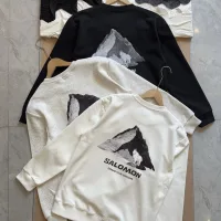 AAA Luxury Salomon Hoodie Ash Cotton Spring Autumn Winter