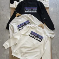 AAA Patagonia Sweatshirt Ash Cotton Spring Autumn Winter Crisp Silhouette