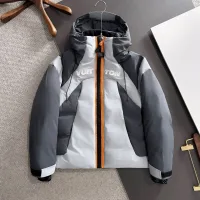 Reps Louis Vuitton Jacket Orange Goose Down Duck Nylon Fleece Fabric Winter