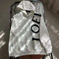 Luxury Loewe Hoodie Red