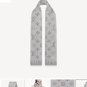 Designer Louis Vuitton Shawl Color