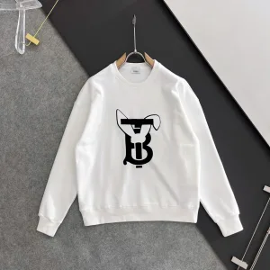 Luxury Burberry Hoodies For Autumn