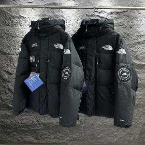 Designer High Quality The North Face Short-Sleeved Shirt Ash Gore-Tex Down Street Style Winter