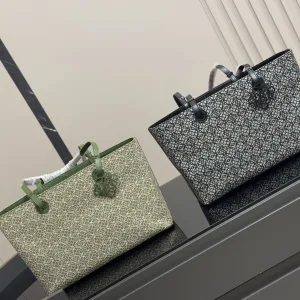 Aaa Luxury Loewe Canvas Shopping Bags