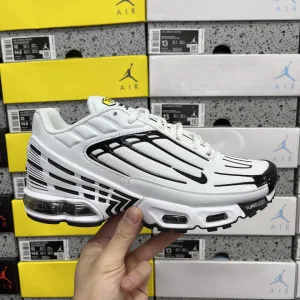 Luxury Nike Air Max Running