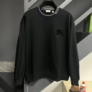 Aaa Burberry Hoodies For Spring