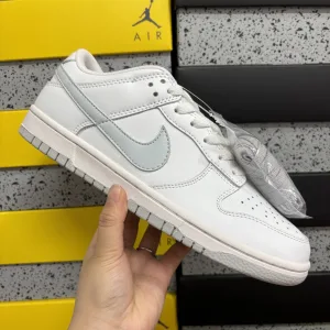 Luxury Nike Skate Shoes