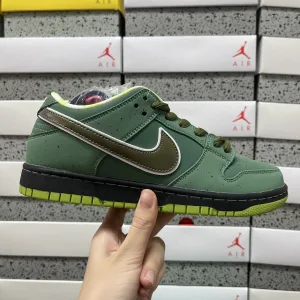 Designer Nike Skate Shoes
