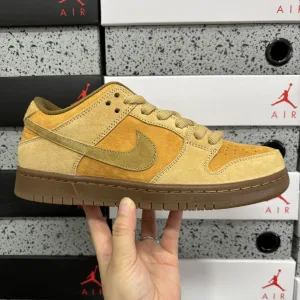 Luxury Nike Skate Shoes