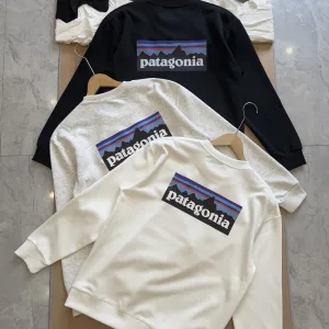 AAA Patagonia Sweatshirt Ash Cotton Spring Autumn Winter Crisp Silhouette