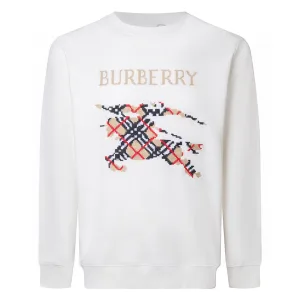 Super Clone AAA Burberry Hoodies Black Ribbed Fabric Embroidery