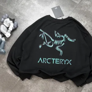 AAA Reps Archaeopteryx Hoodie Black Cotton Pure Suitable For All Body Types Plastisol Printing