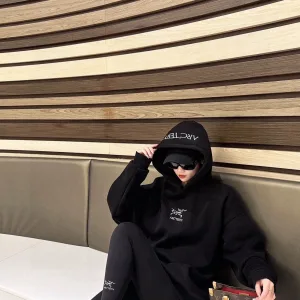 Super Clone AAA Archaeopteryx Hoodie Black Cotton Pure Double-Sided Fabric Autumn Winter Embroidery Heavy