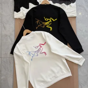 Luxury AAA Archaeopteryx Hoodie Ash Cotton Fleece Soft And Gentle Spring Autumn Winter Crisp Silhouette
