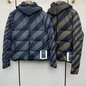 High Quality Fendi Down Jacket White Goose Autumn Winter And
