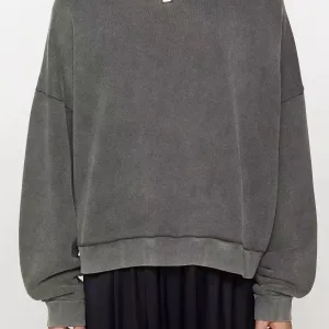AAA Acne Studios Hoodies Ash
